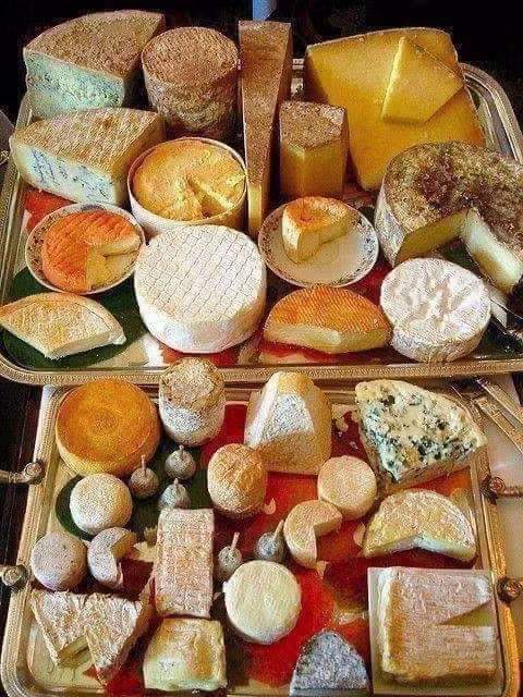 Artisan cheese display at an Italian market